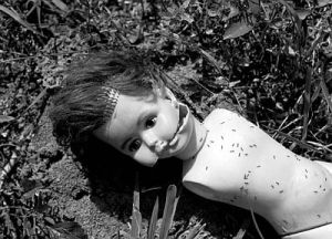 Tarik Samarah Srebrenica