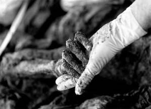 Tarik_Samarah, Ruka u ruci